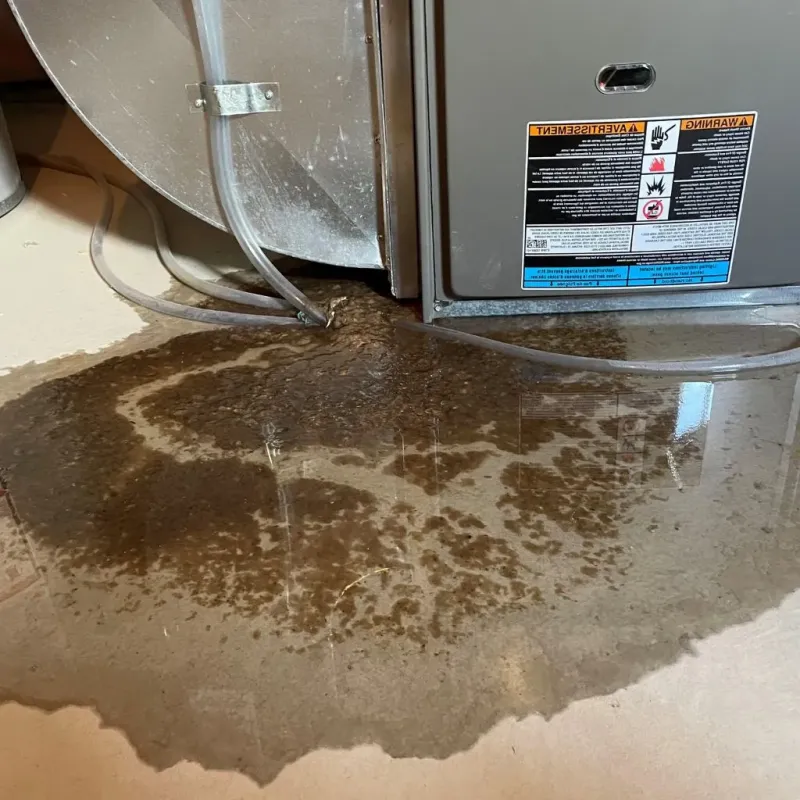 Pipe Burst and Leak Restoration in Lyndonville, VT