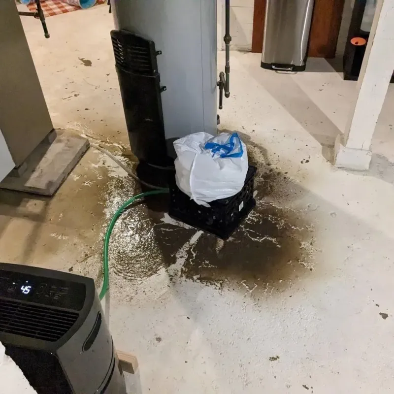 Sewage Backup Cleanup Service in Lyndonville, VT